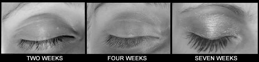 speedlash 7 weeks speedlash 7 weeks